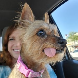 Meet your Posher, Terri